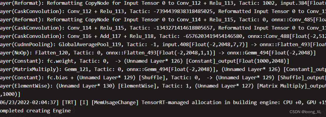 Tensorrt Paser loading onnx inference use