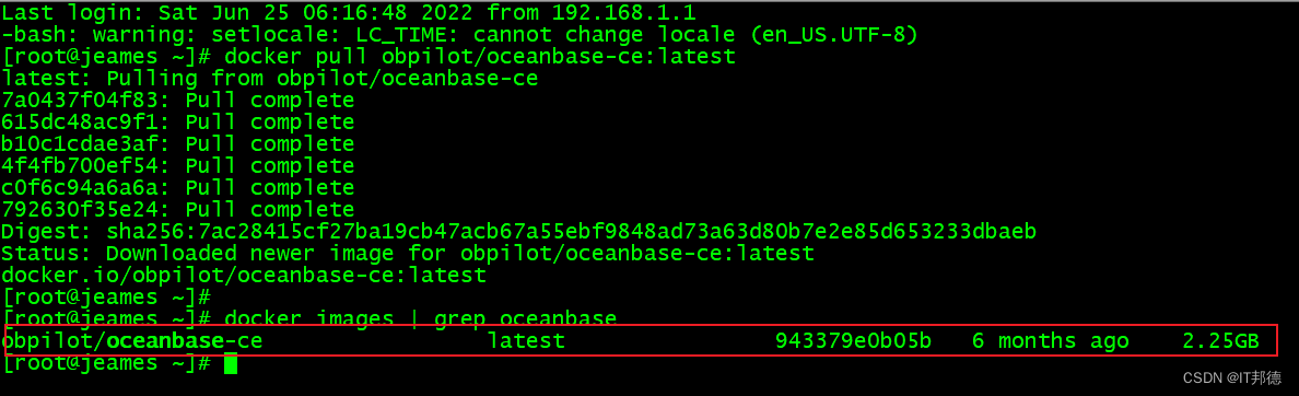 [cloud native] - docker installation and deployment of distributed database oceanbase