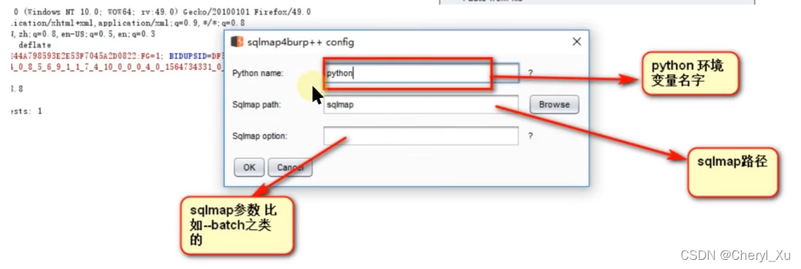 Burpsuite learning notes