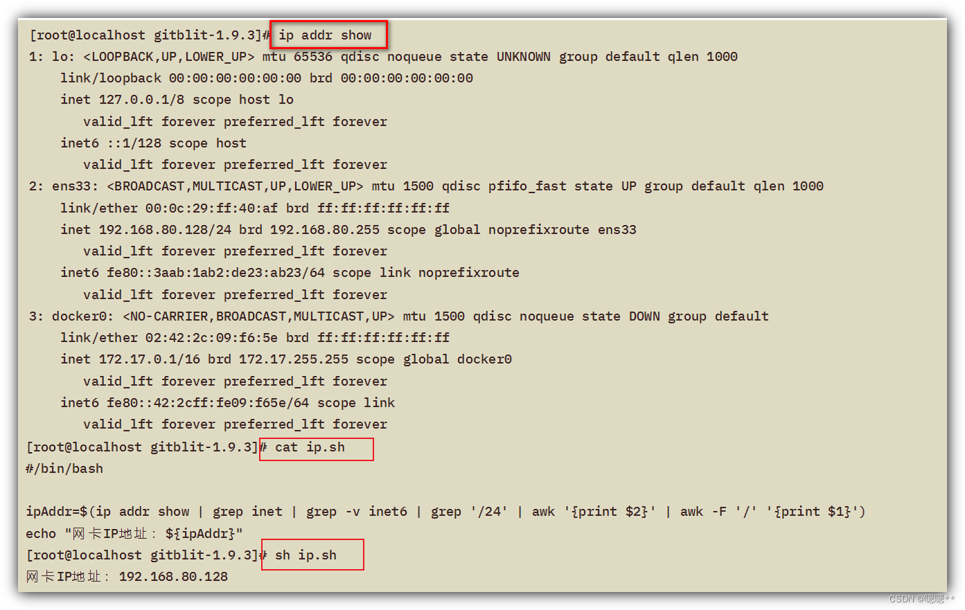 Shell common script: get the IP address of the network card