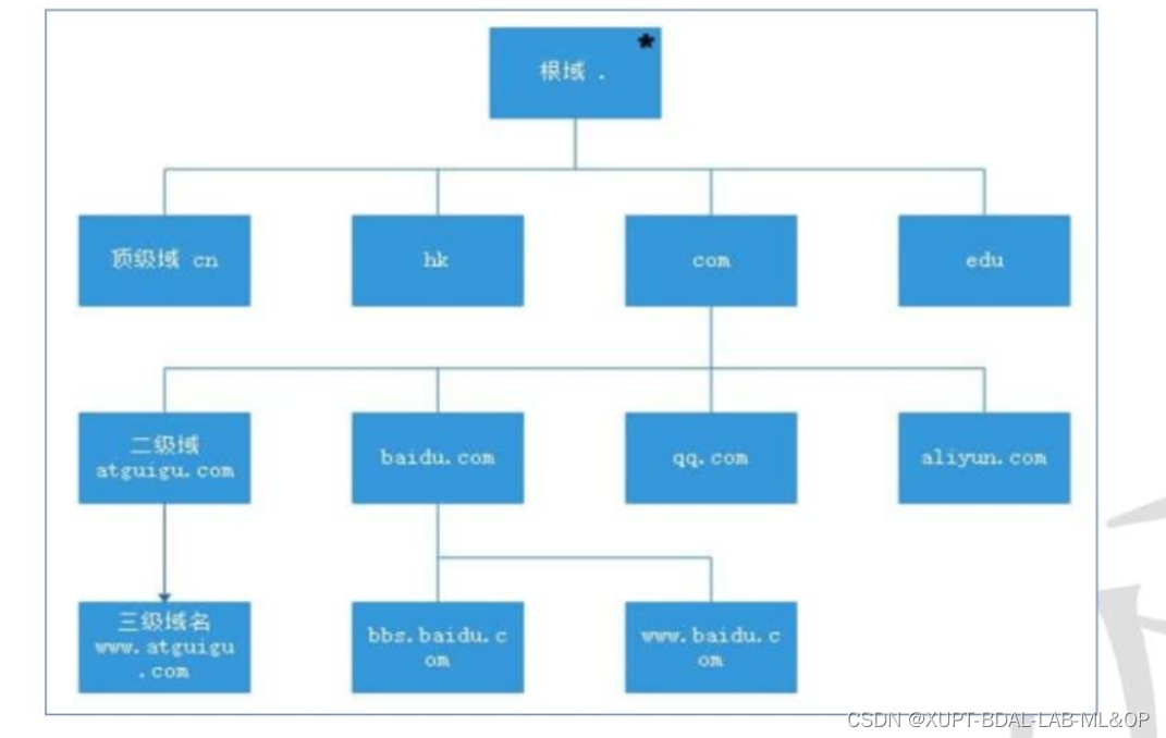 DNS review