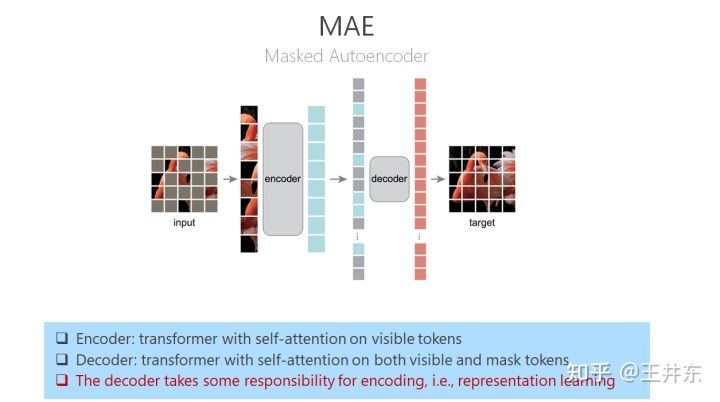 自监督表征预训练之掩码图像建模：CAE 及其与 MAE、BEiT 的联系
