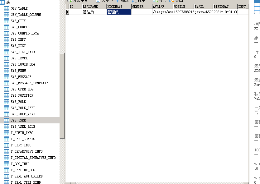 Bugs encountered in Oracle