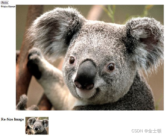 How to resize an image in C ＃