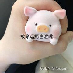 软件缺陷的管理