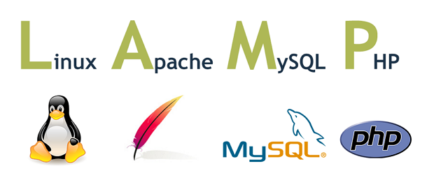 Insert picture description here