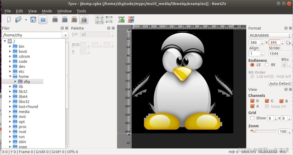 Decoding webp static pictures using libwebp
