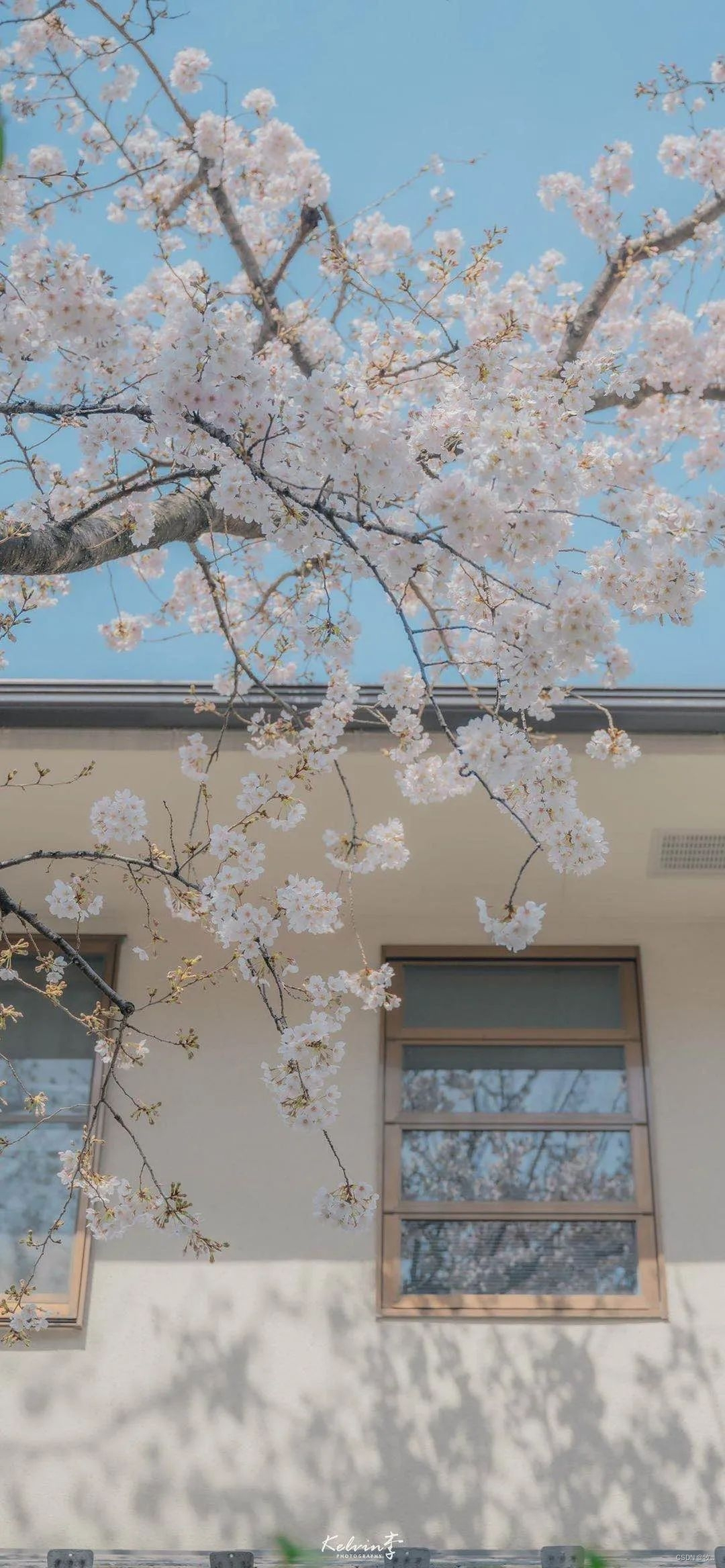  Insert picture description here 