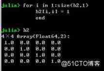 Julia constructs diagonal matrix
