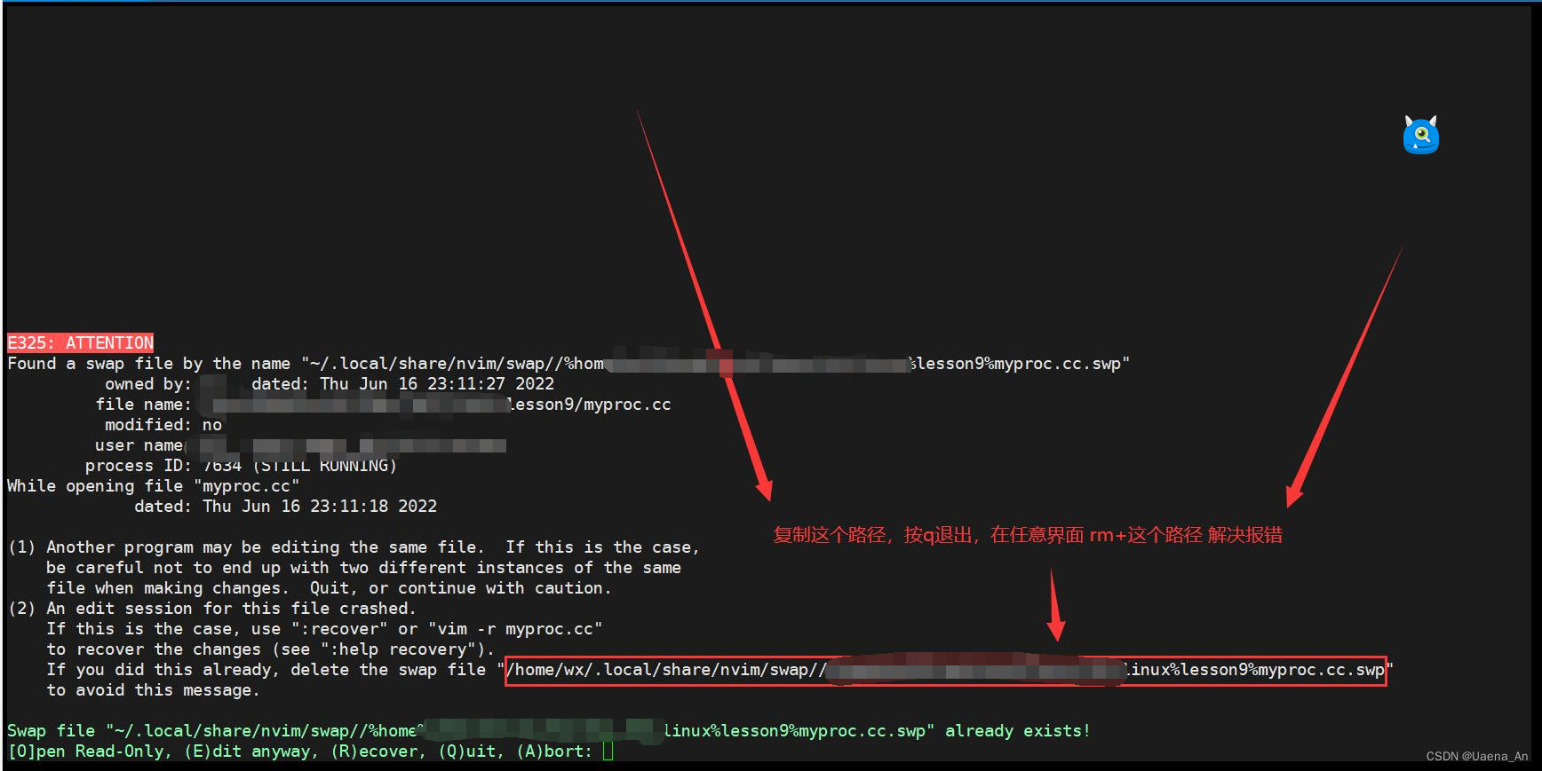 [e325: attention] VIM editing error
