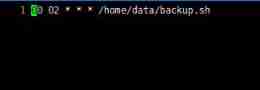 Automatic backup of MySQL database in the early morning with Linux