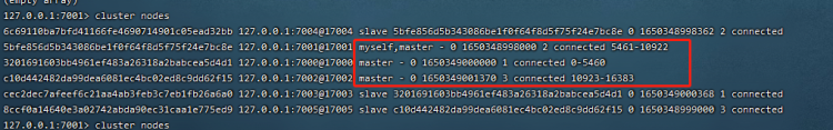 Redis cluster data skew