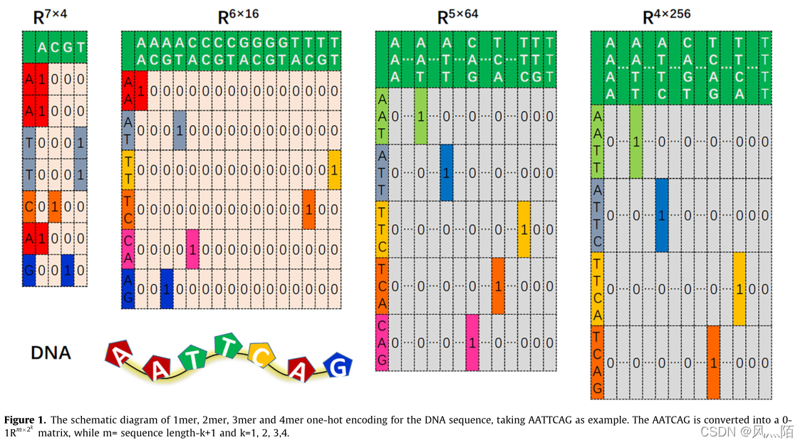  Insert picture description here 